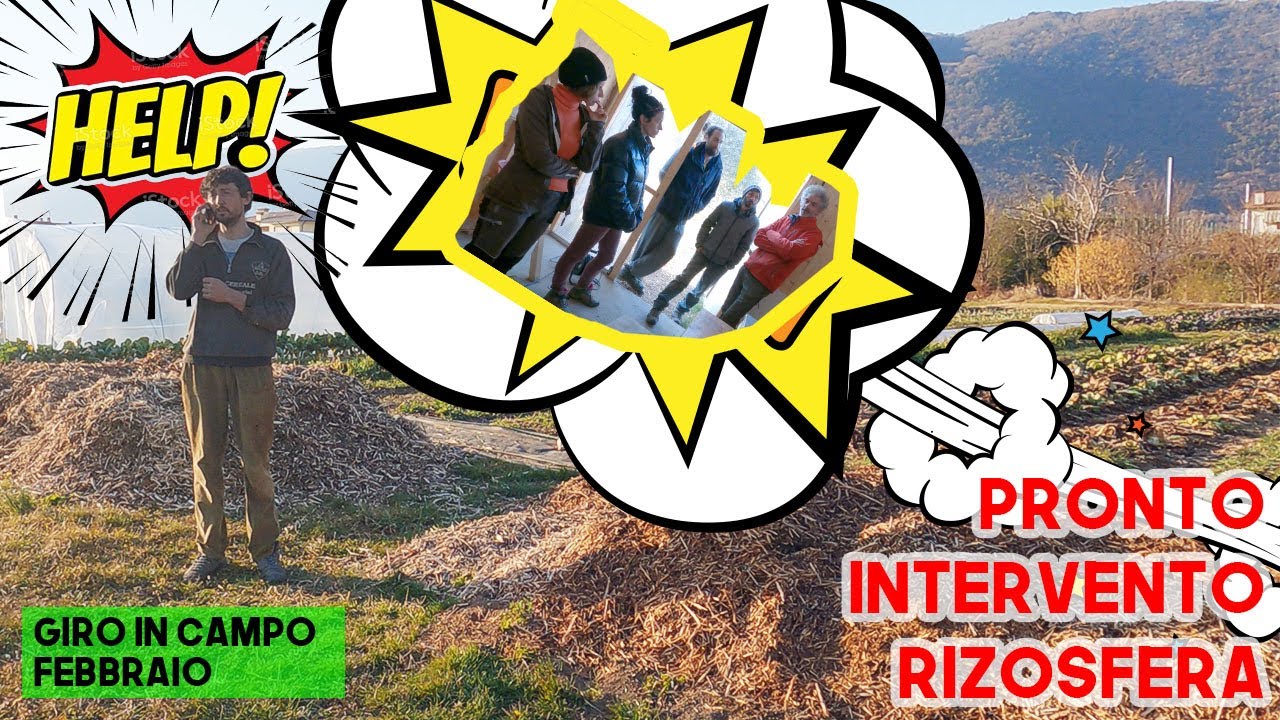 Consulenza RIZOSFERA - Azienda Agricola Santa Felicita