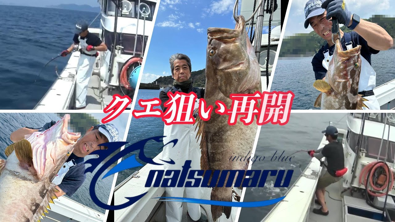 【クエ釣り本格再開！！】