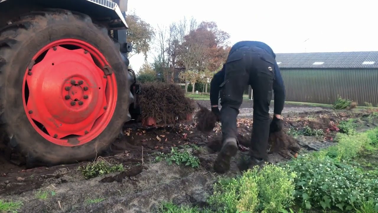 🌳kwekerijvlog 19🌳