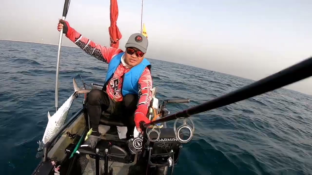 3 kingfish malalaki na sila