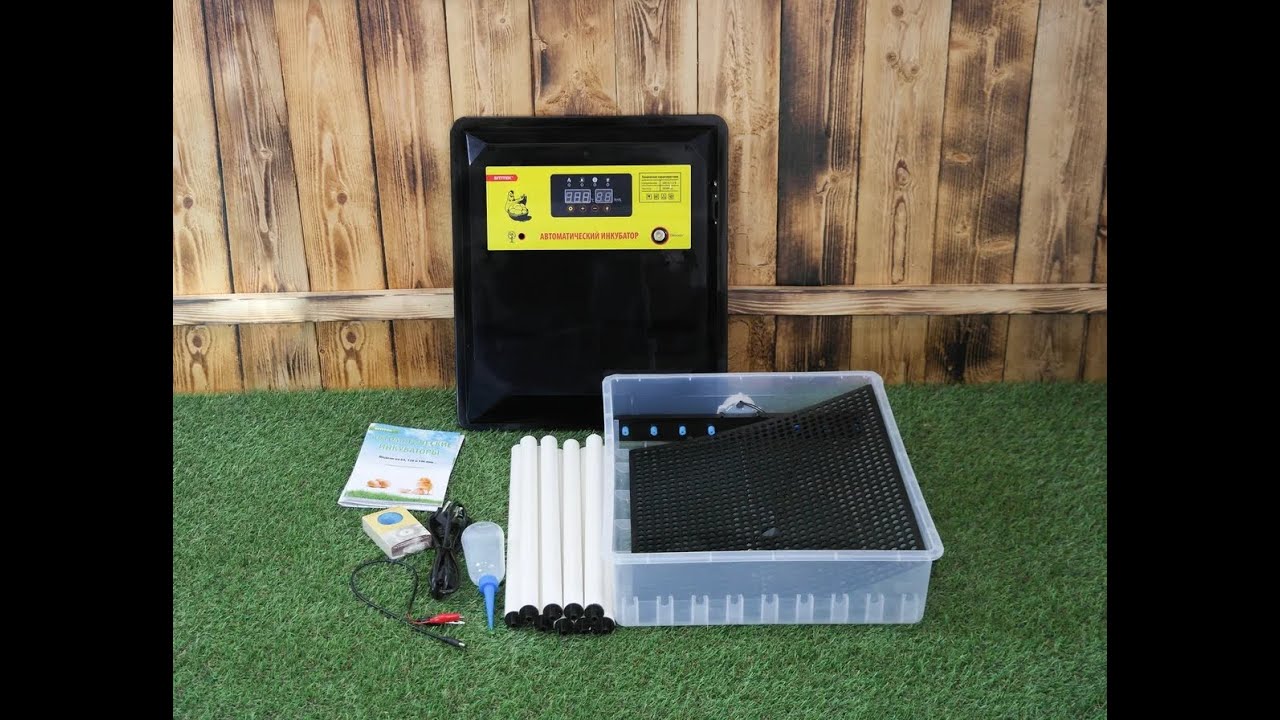 Инкубатор автоматический 