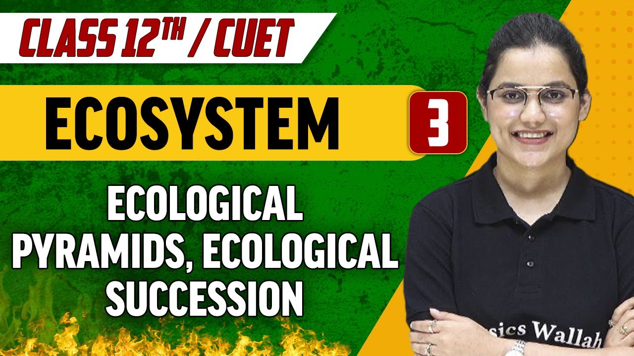 Ecosystem 03 | Ecological Pyramids, Ecological Succession | Class 12th/CUET