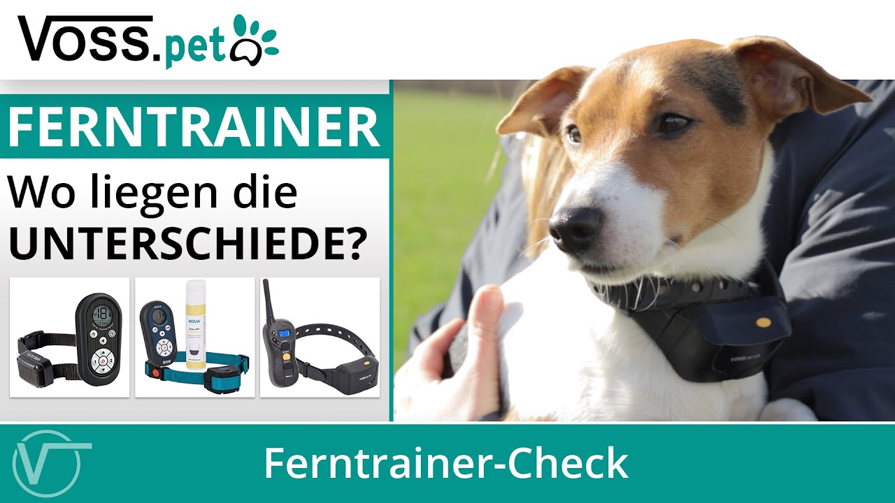 Ferntrainer - Wo liegen die Unterschiede?