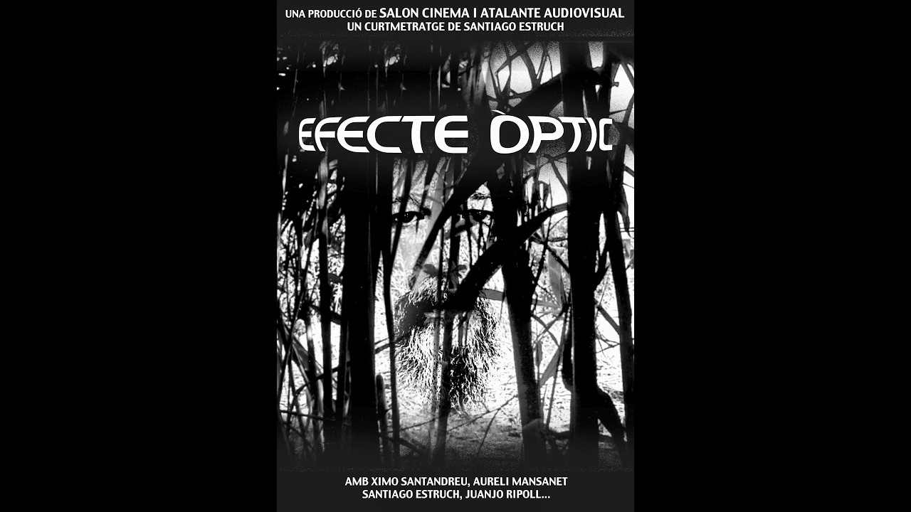 Efecte Òptic (2003) Santiago Estruch