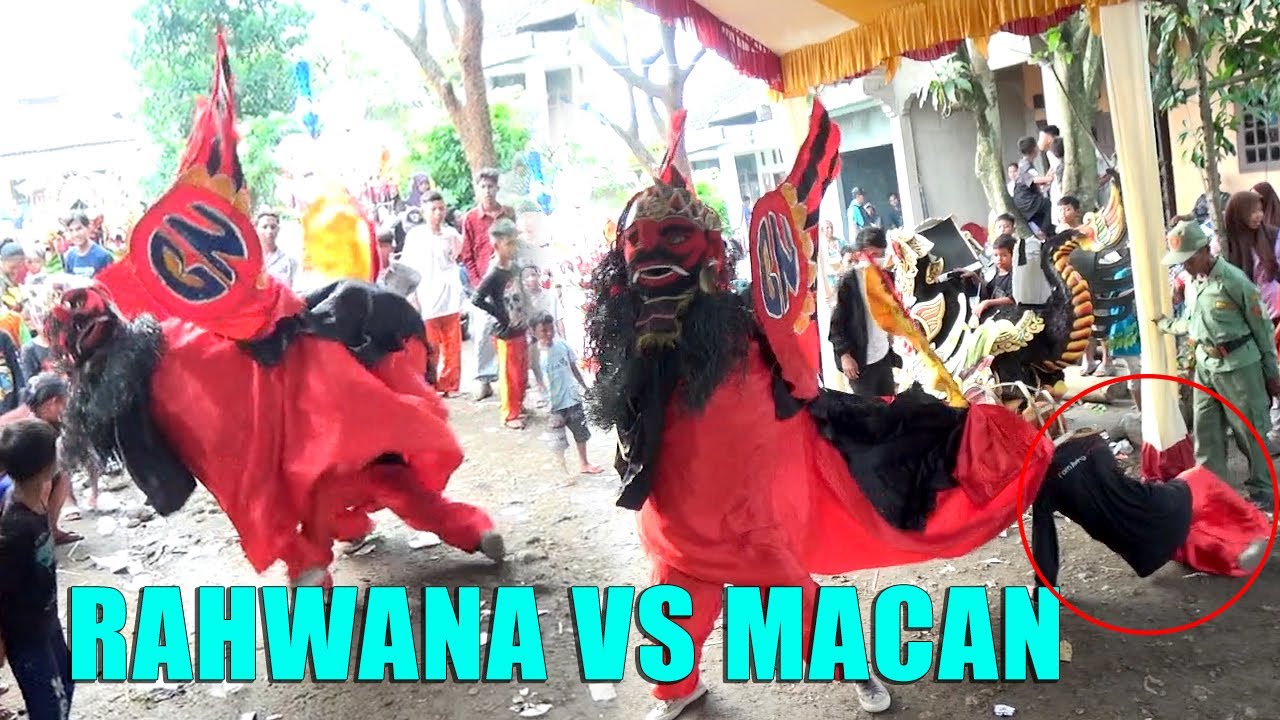 RAHWANA VS MACAN  || BUROK BUNGA NADA || PILANGSARI NEGLA BREBES || 29 JANUARI 2022