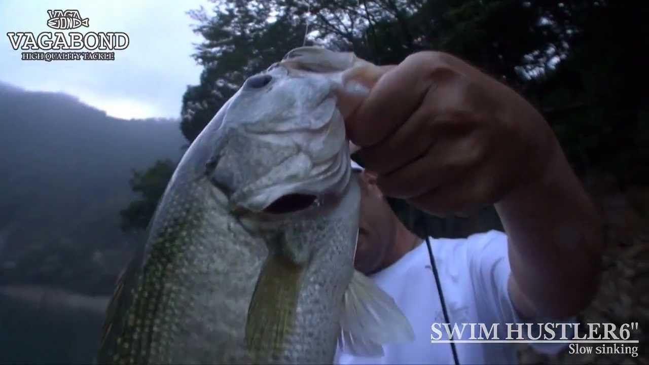 No.94 SWIM HUSTLER 6