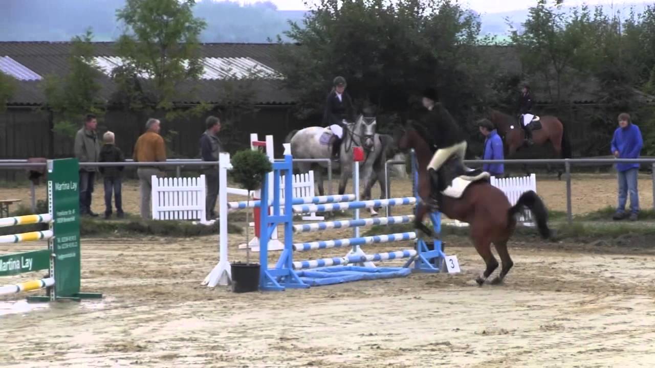 PaulanaD  - Springpferdepr&uuml;fung Kl. L - B&uuml;hren Breckerfeld 2013