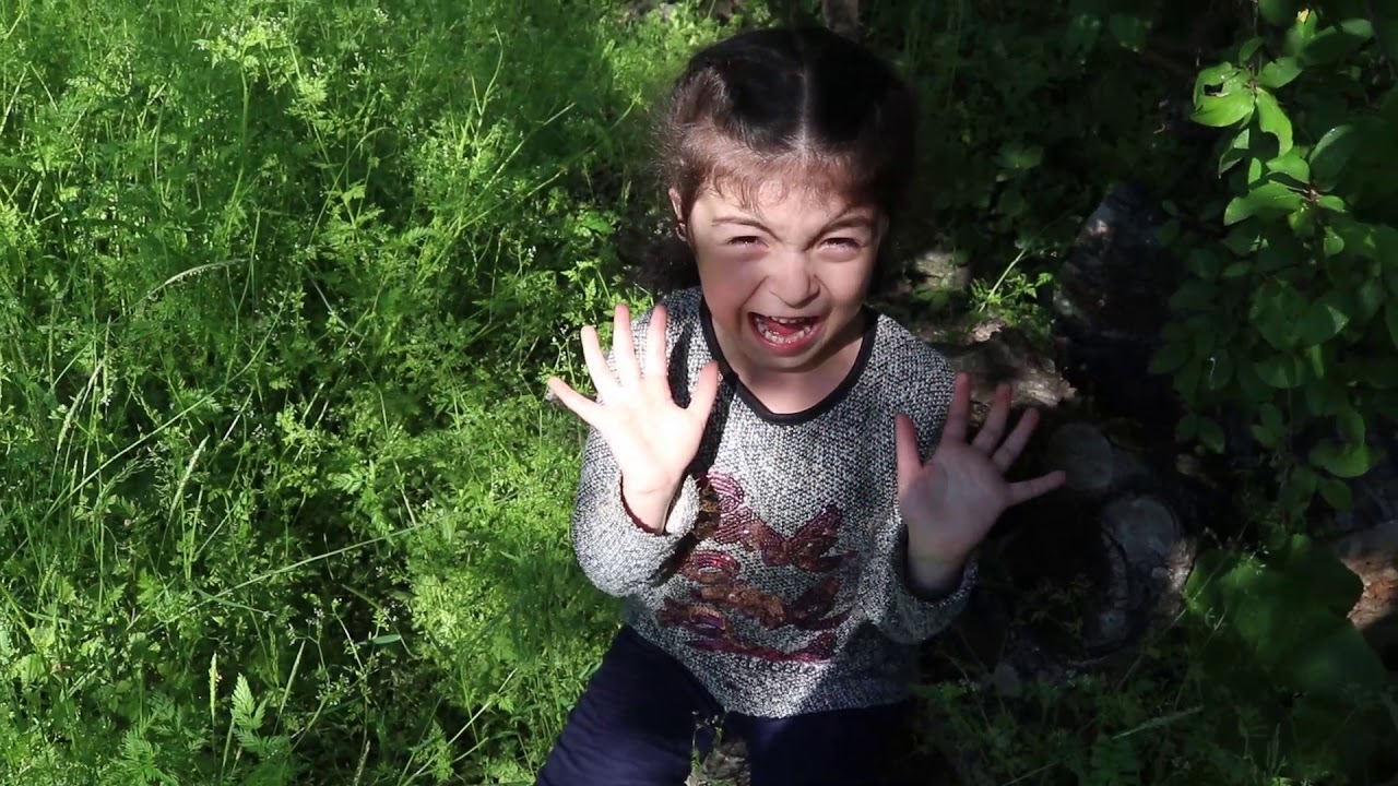 Medine meymun ve pelengle qarsilaasdi