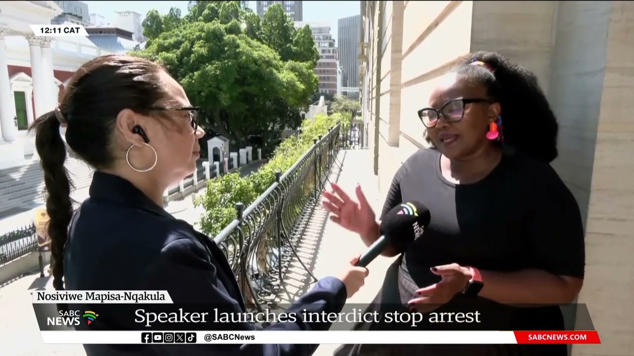 Mapisa-Nqakula I DA Chief Whip Siviwe Gwarube reacts