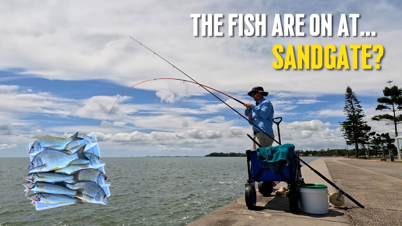 Рыбалка с берега | Береговая зона Сэндгейт