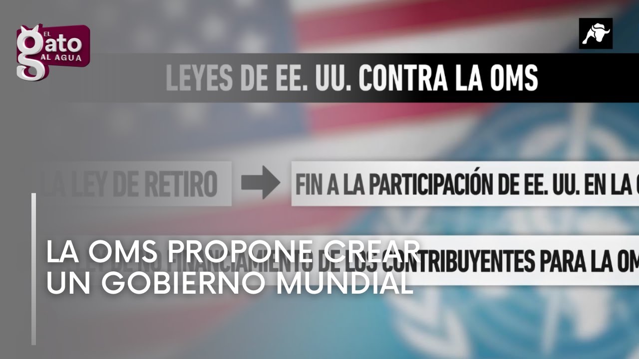 La OMS propone crear un Gobierno Mundial