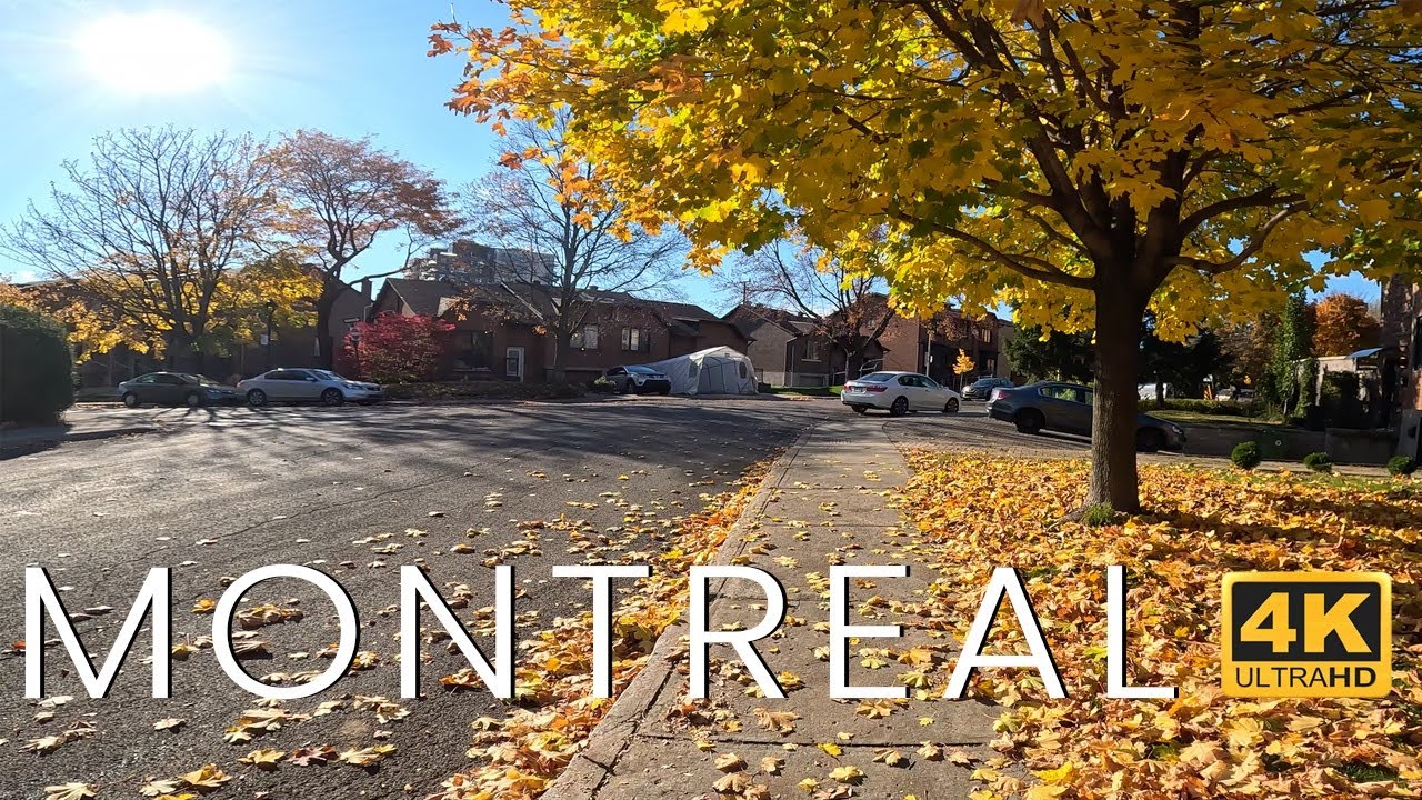 Walk With Me Through Montreal - Boul. Monk and Av. Springland
