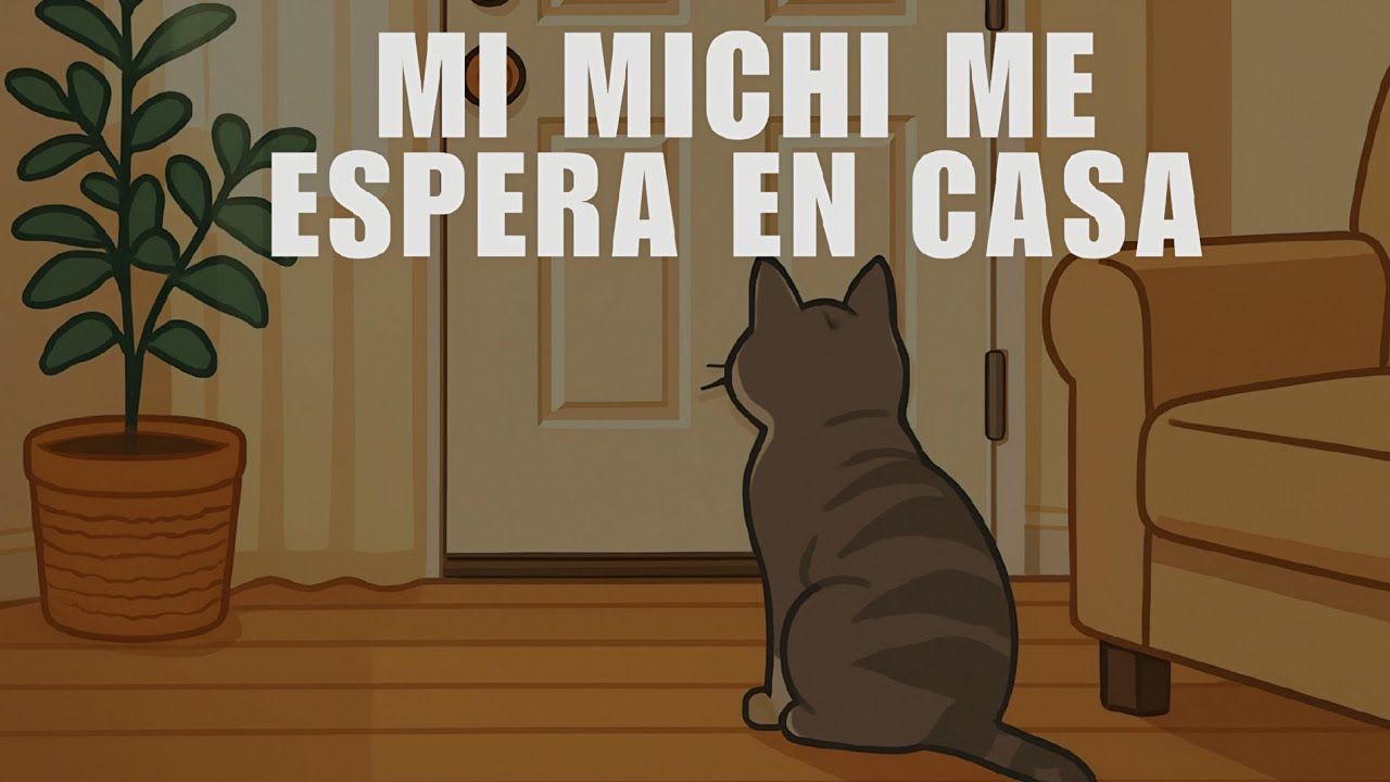 MI MICHI ME ESPERA EN CASA 🐱❤️