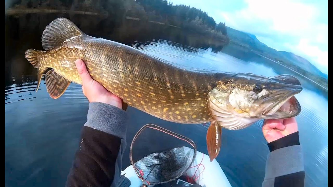 Fishing Loch Ard - 2019