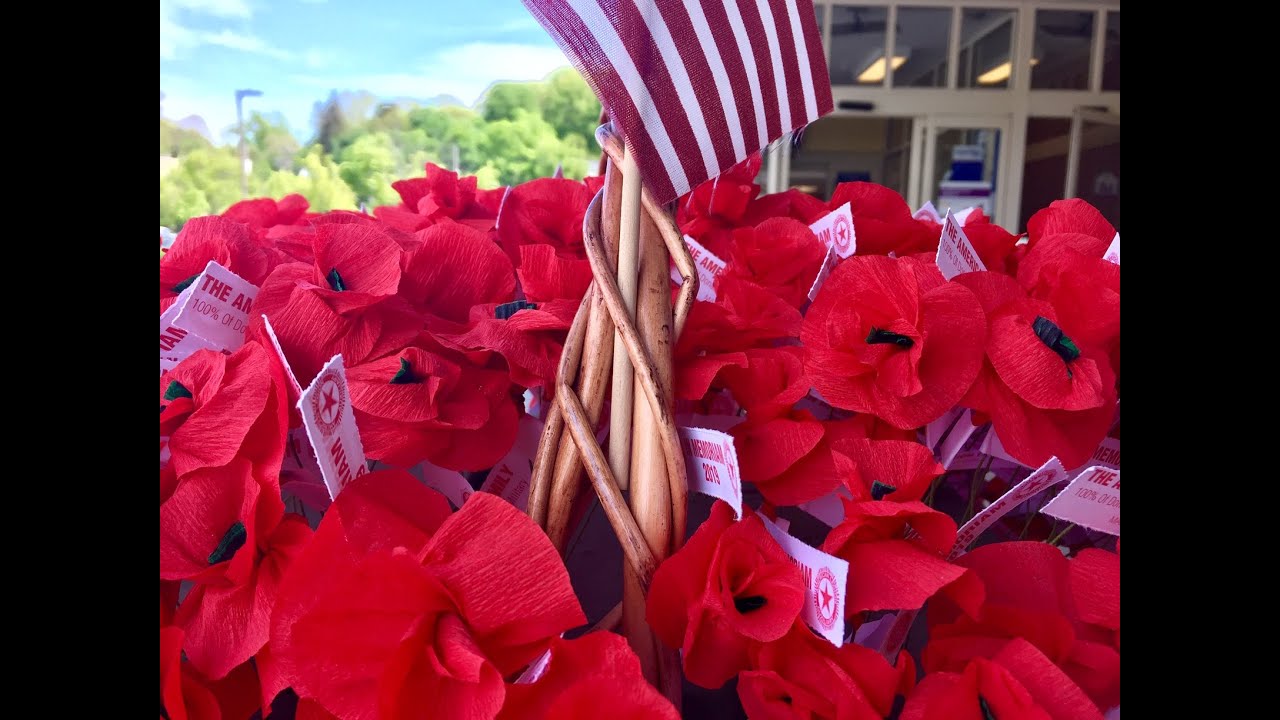 Who We Are and What We Do - ALA Unit 1038 NY