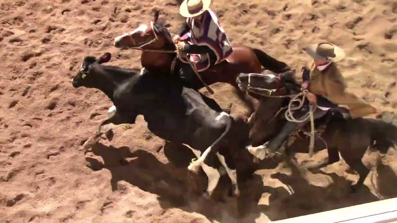Tercera Serie Rodeo Clasificatorio  Sexta Región Temporada  2022-2023