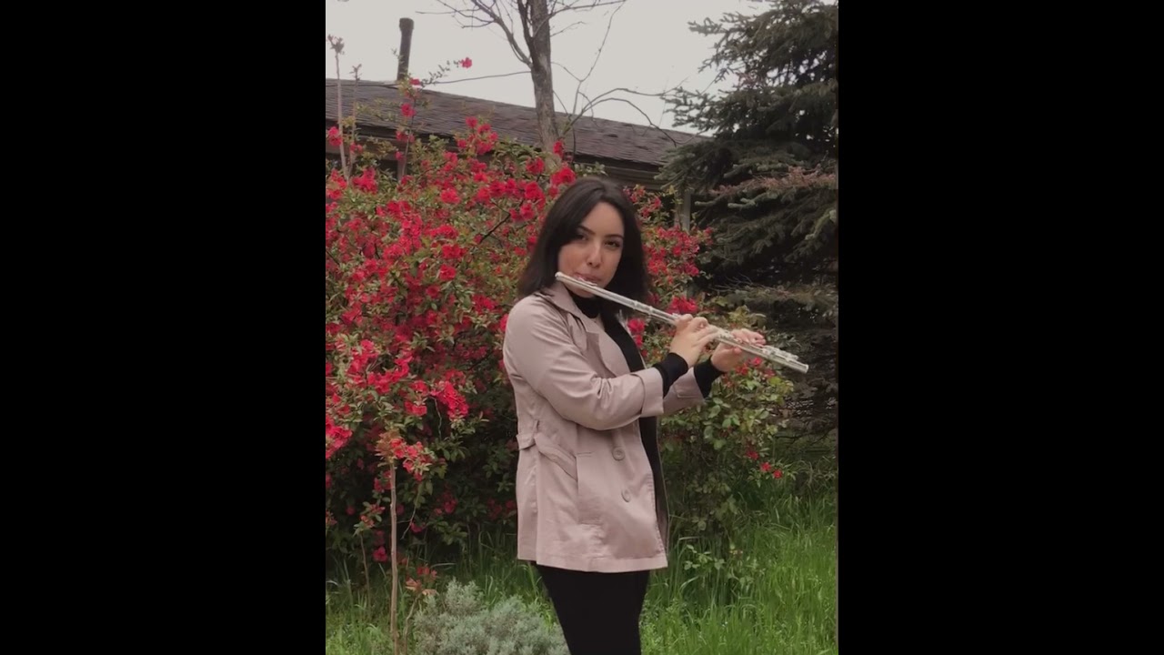 Söyleyemedim | Yan Flüt Cover