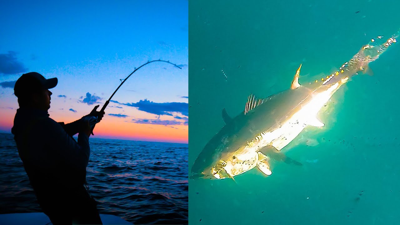 Ловля огромных косяков голубого тунца | Кейп-Код, Массачусетс | S20 E09