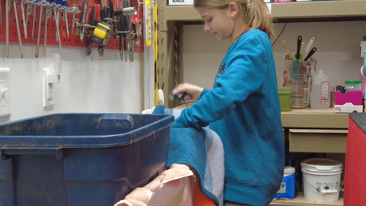 DIY Worm Farm is a Amazing Backyard Science Biology Project for Kids