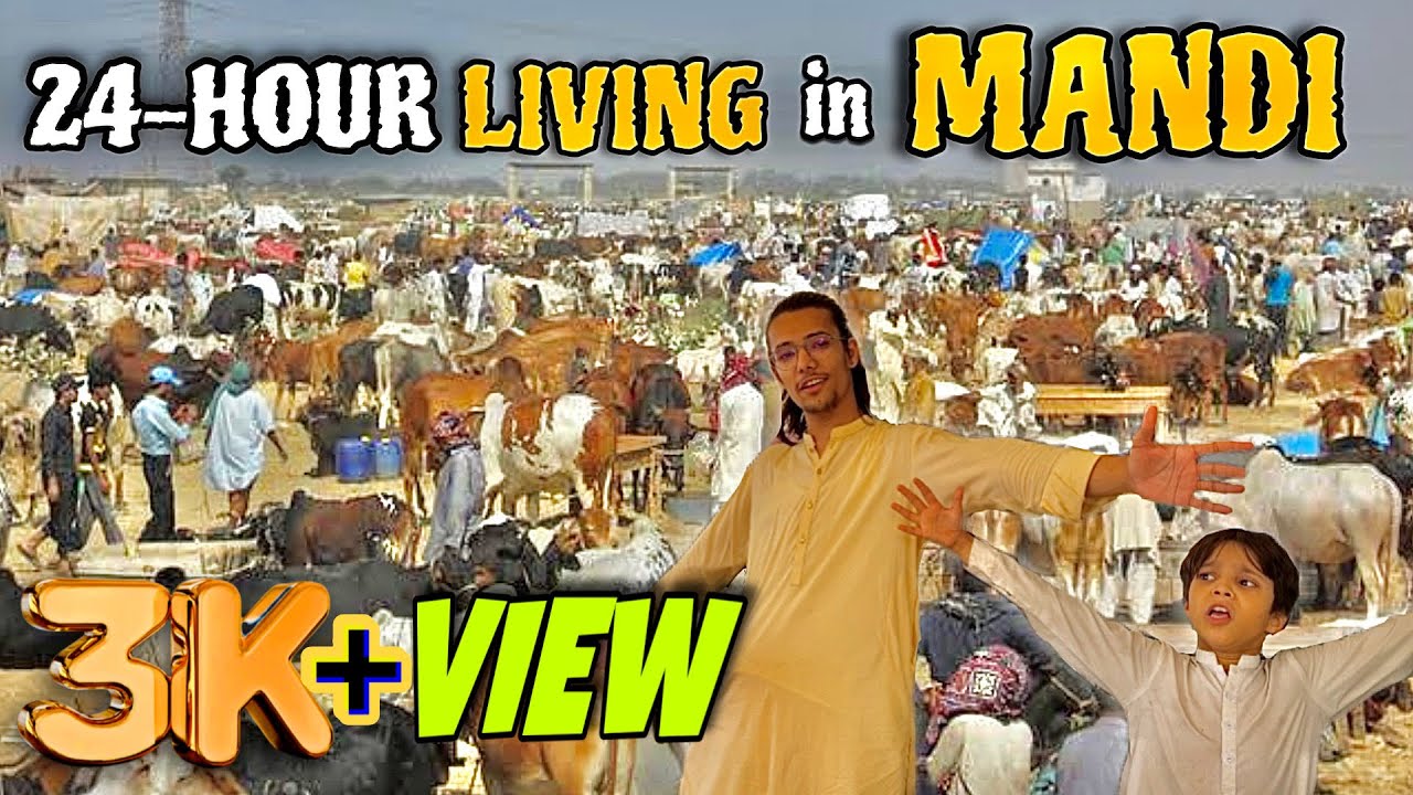 Living in a Cow Mandi For 24 Hour