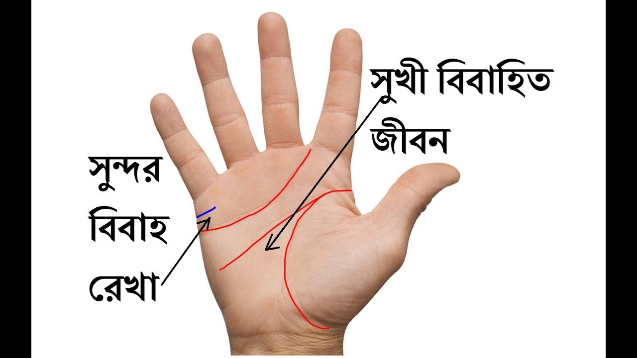 আপনার হাতে কিকি চিহ্ন থাকলে আপনার বিবাহিত জীবন সুখের হবে। হস্তরেখা বিচার Dr. Subodh Lal Saha