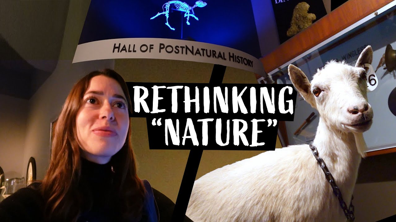 The Most Thought-Provoking Museum You’ve Never Heard Of | The Center for PostNatural History
