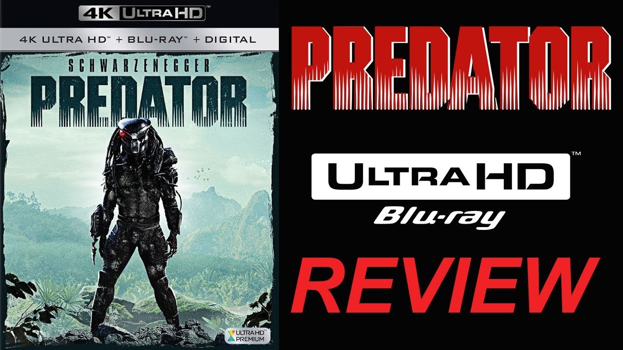 Recenzja PREDATORA 4K Blu-ray