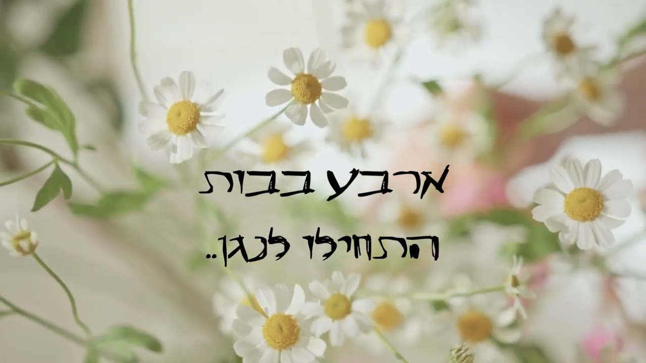 נשמה ירדה