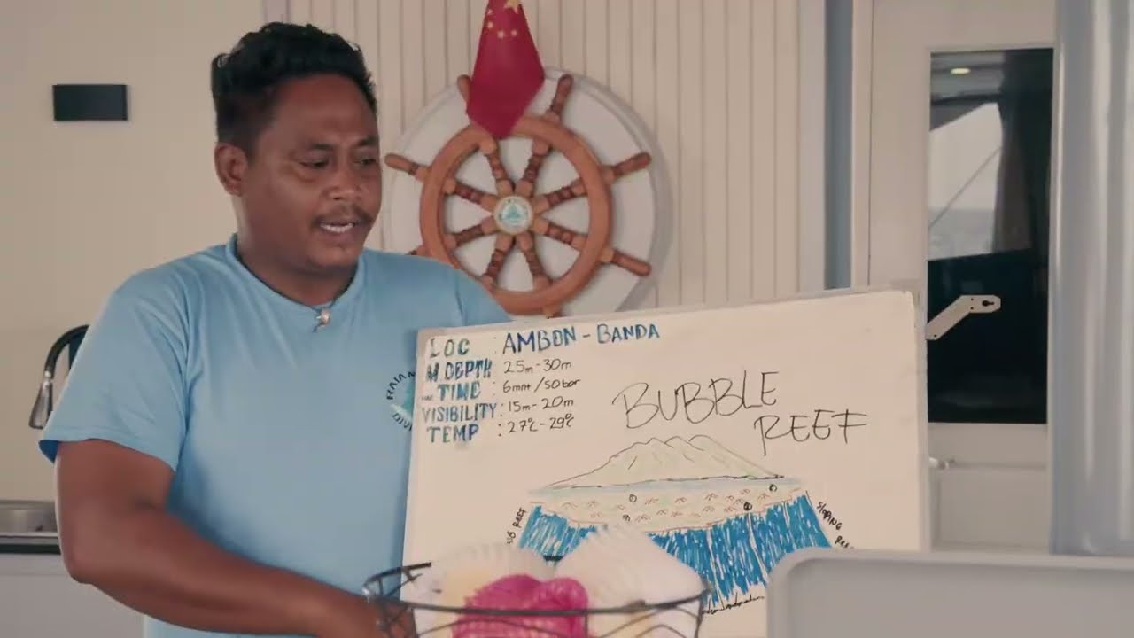 D3 SNAKE ISLAND#banda