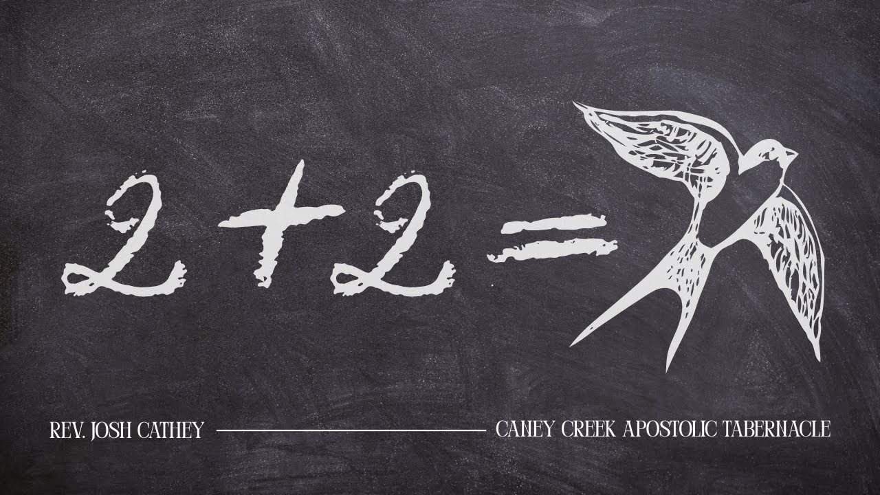 The Strange Math of 5 Sparrows | Rev. Josh Cathey