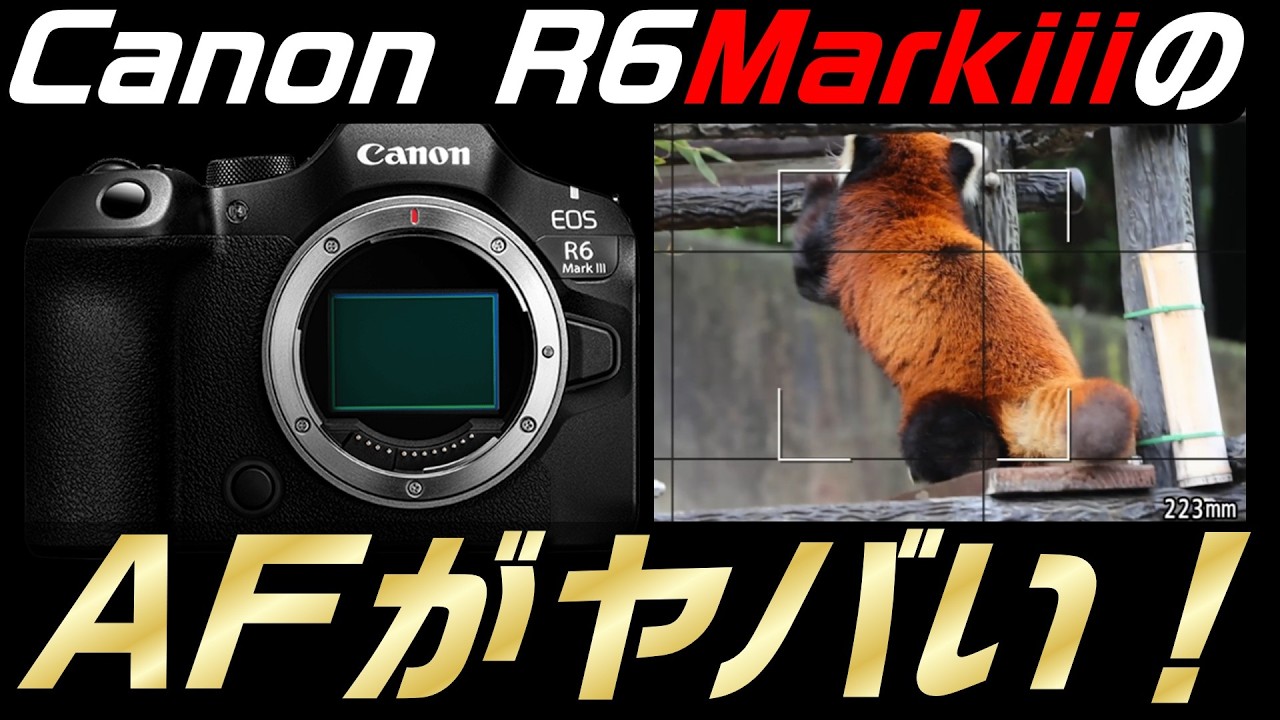 【Canon R6 Markiii】AF被写体認識の実力【意外な結果。】