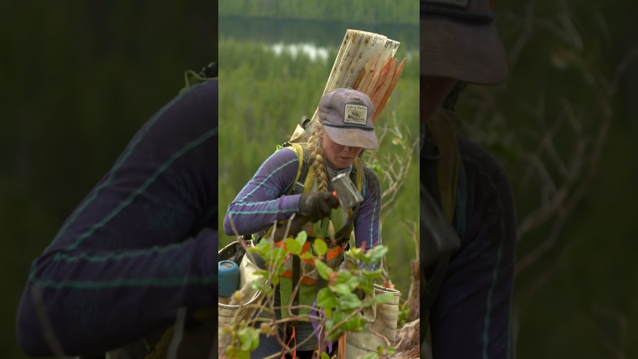 Cedar Tree Planting: Epic Slow Motion Cinematic Beauty in Haida Gwaii, BC 