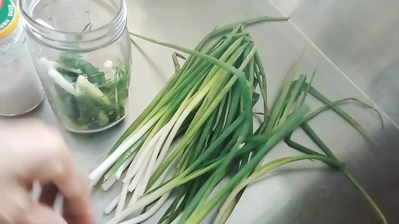 Burong sibuyas dahon