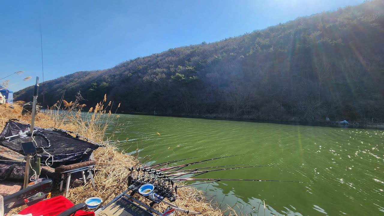 ❤️‍🔥열혈 여조사❤️‍🔥부사호에서 붕어만나러왔습니다🔥