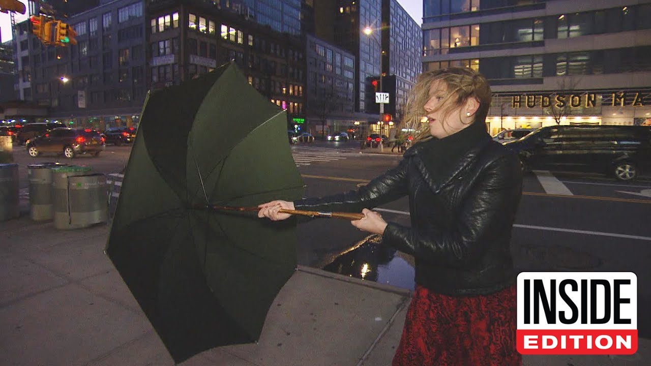 Is This $350 Umbrella Really Indestructible?