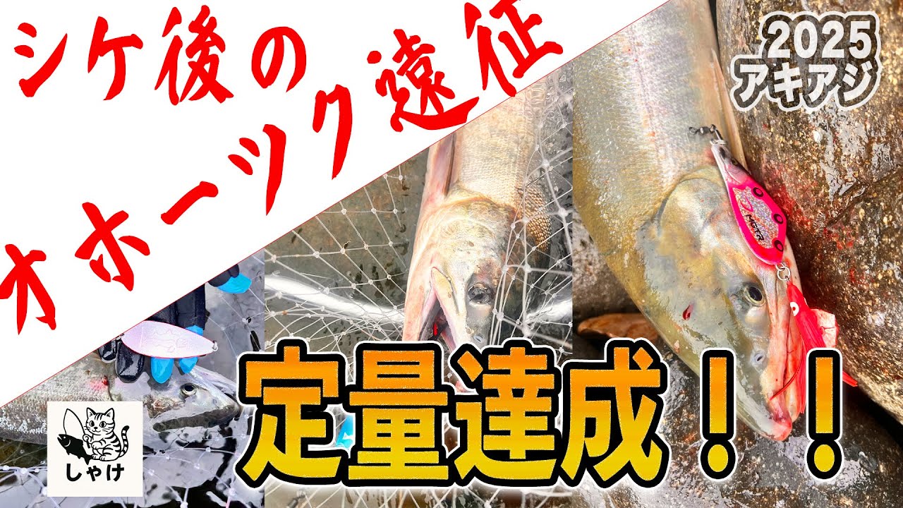 2025 アキアジ　オホーツク遠征で定量達成？！