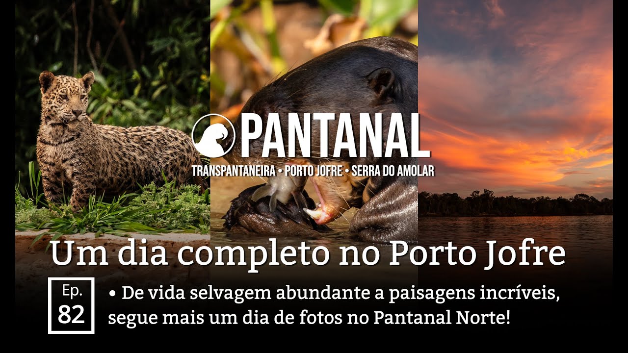 Dia glorioso no Pantanal