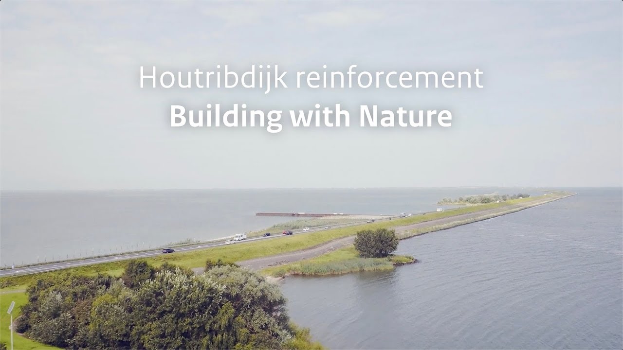 Houtribdijk reinforcement: Building with Nature