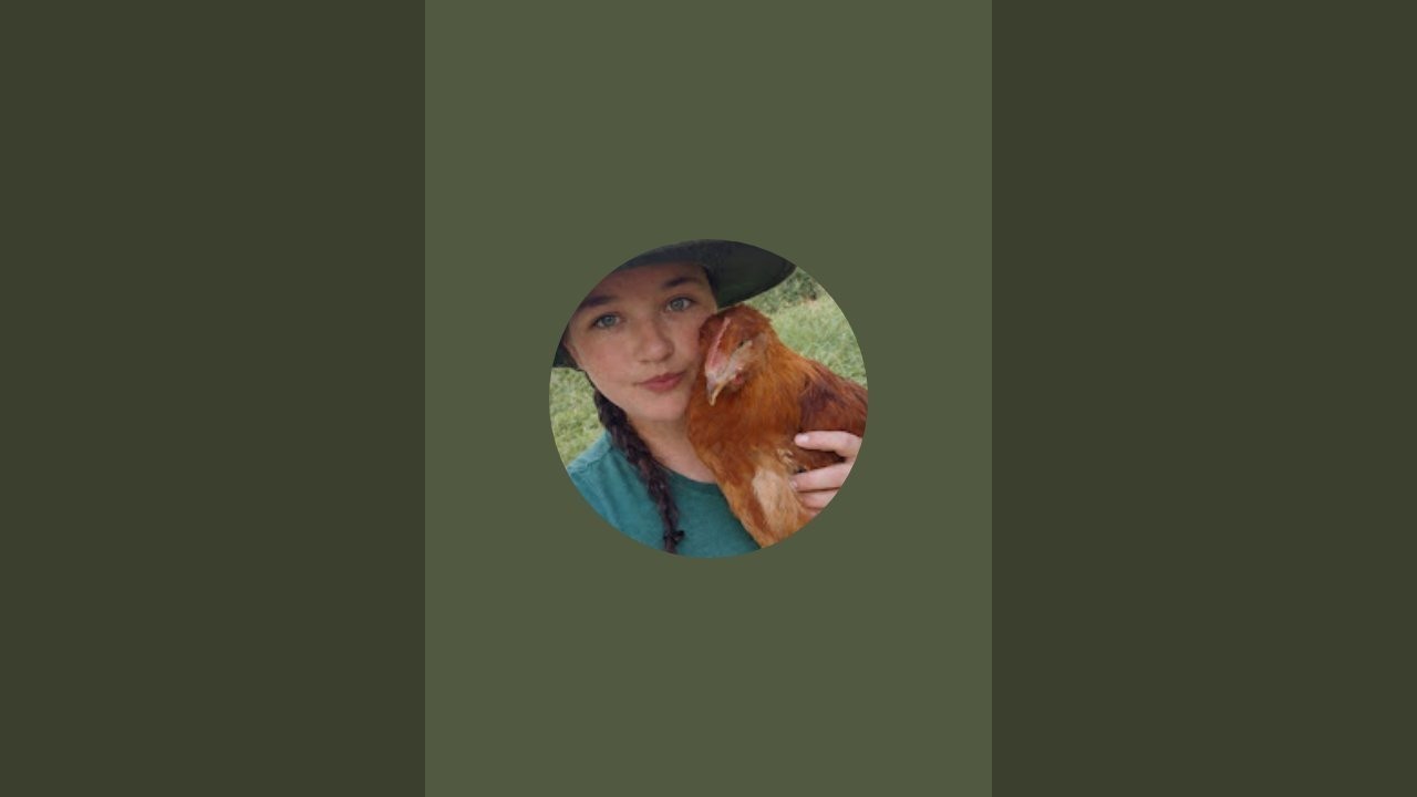 Desafio visual e mental, Deixa seu like