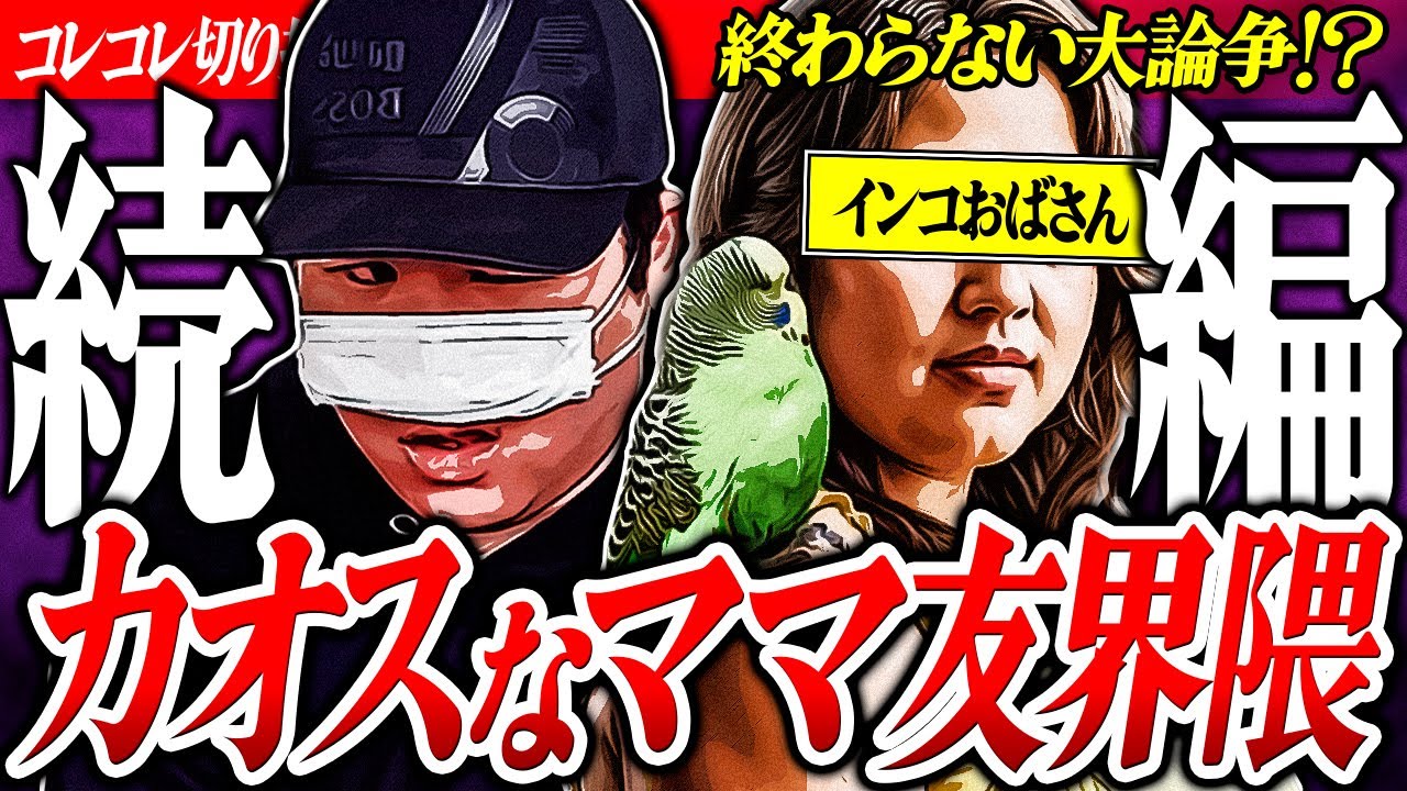 虚言暴言【ママ友/叩き界隈の闇】コレコレもブチギレの身勝手さにドン引き...汁こじがきっかけでインコおばさん大暴走 #ツイキャス #コレコレ切り抜き