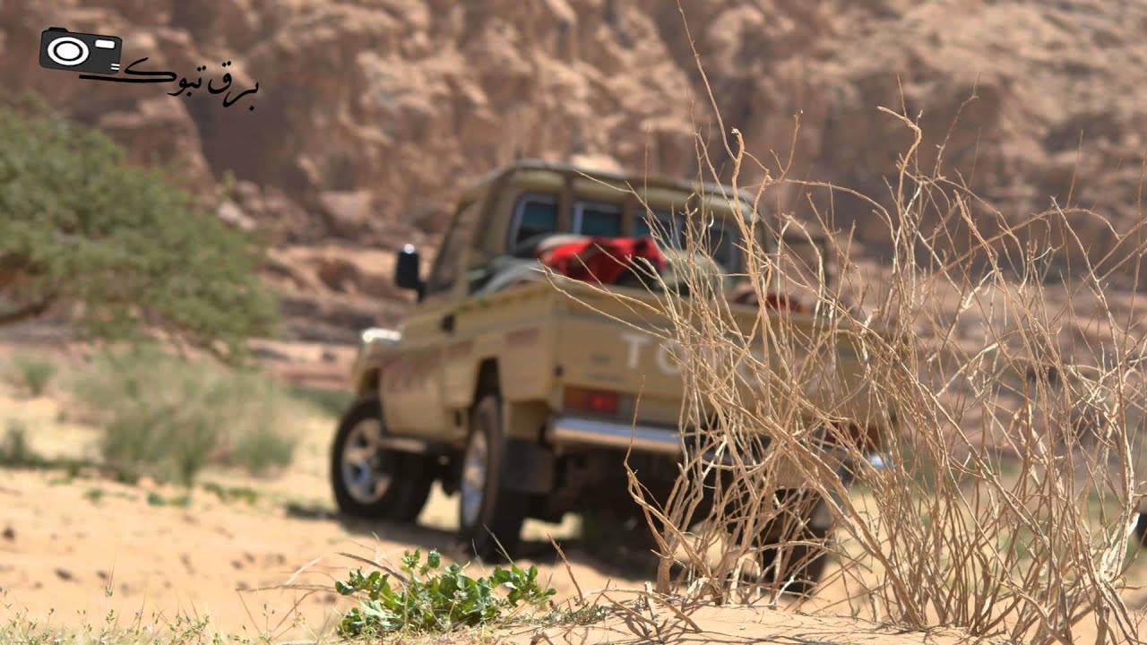 رحله شباب بني عطيه الى الحره و الديسه _ تبوك