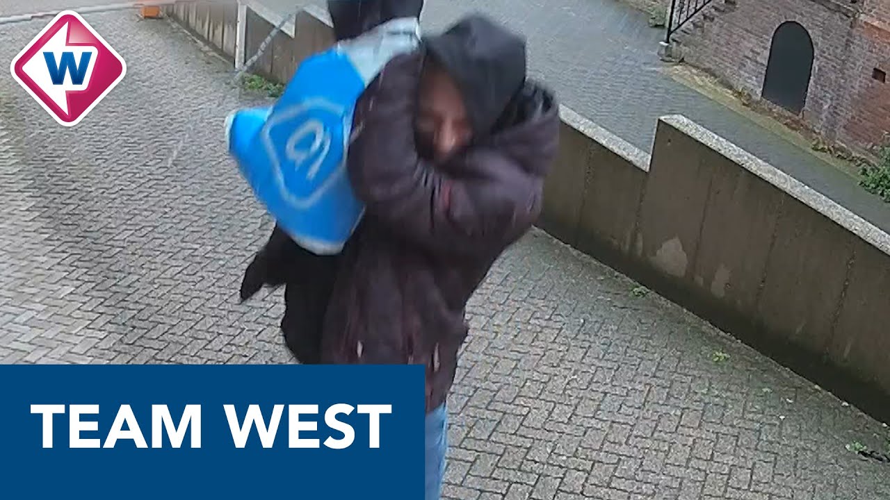 Inbreker Circusplein Den Haag ontsnapt met circusact - Team West