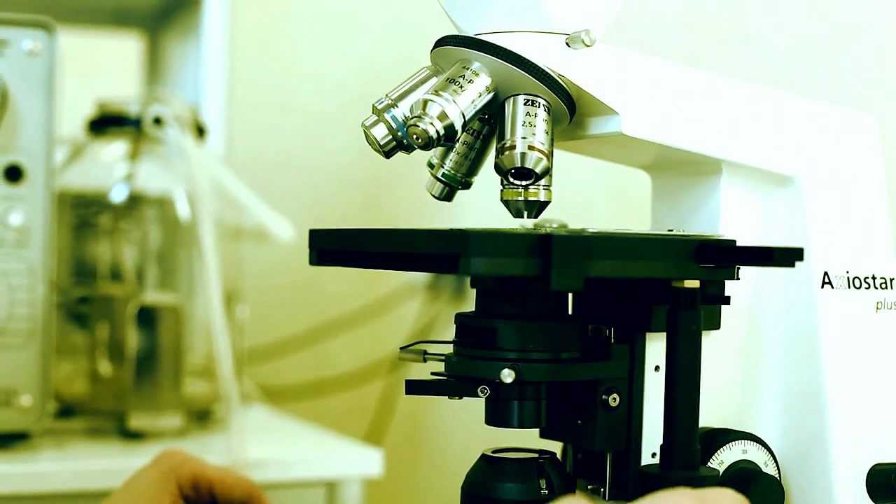 Non stop. Наука БФУ им. И. Канта