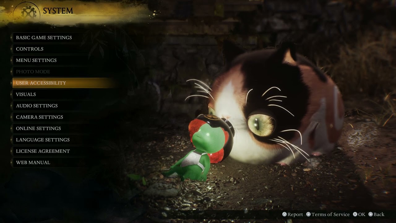 Nioh 3 - Playstation 5 Default Options: Basic Game,  Controls, Menu Accessibility Settings etc