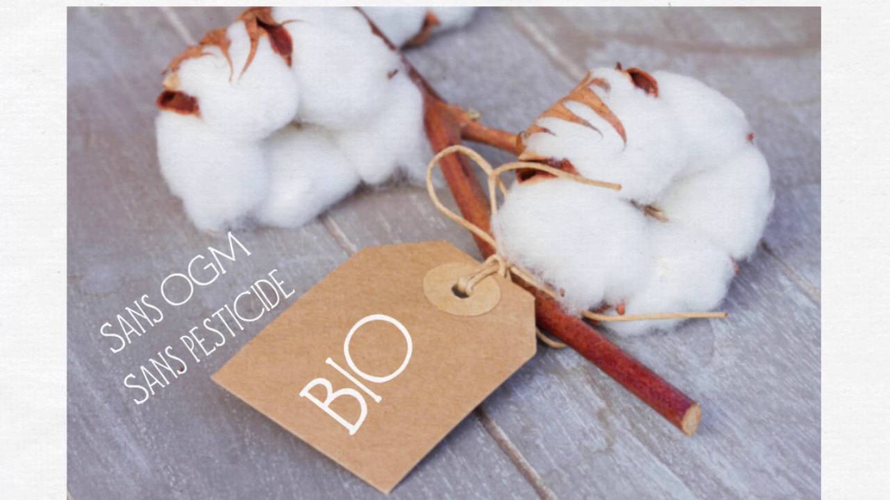 Une minute pour comprendre : pourquoi le coton bio, c'est mieux ?