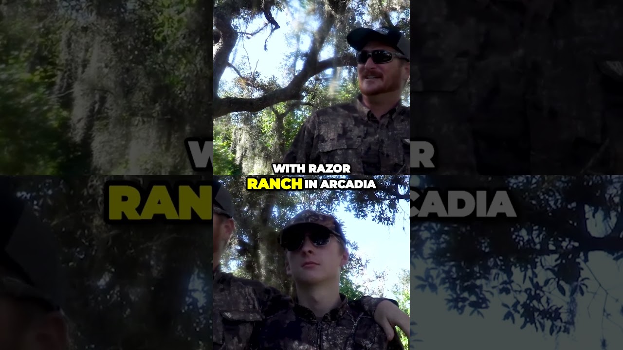 Birthday Gator Hunt Adventure!