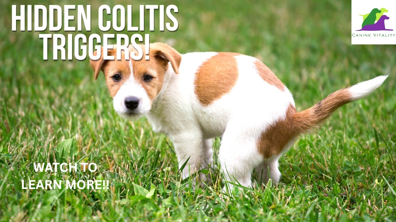 Three Hidden Colitis Triggers!!