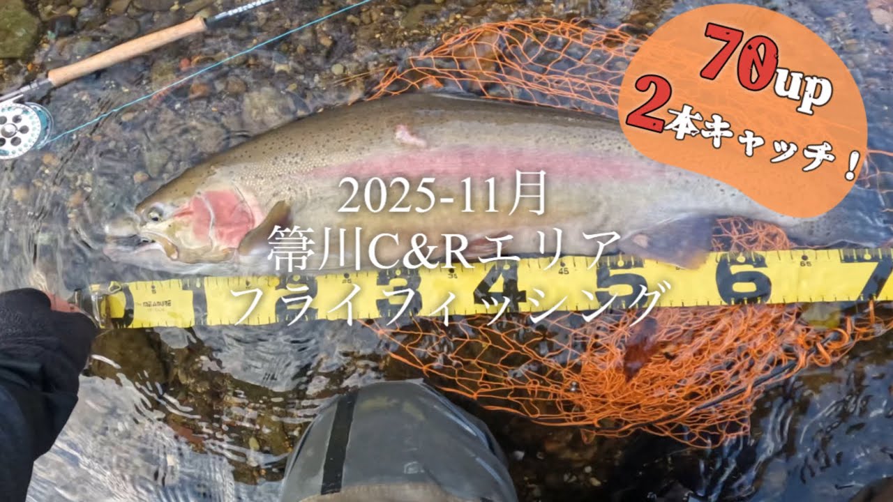 2025-11月　箒川C&R フライフィッシング