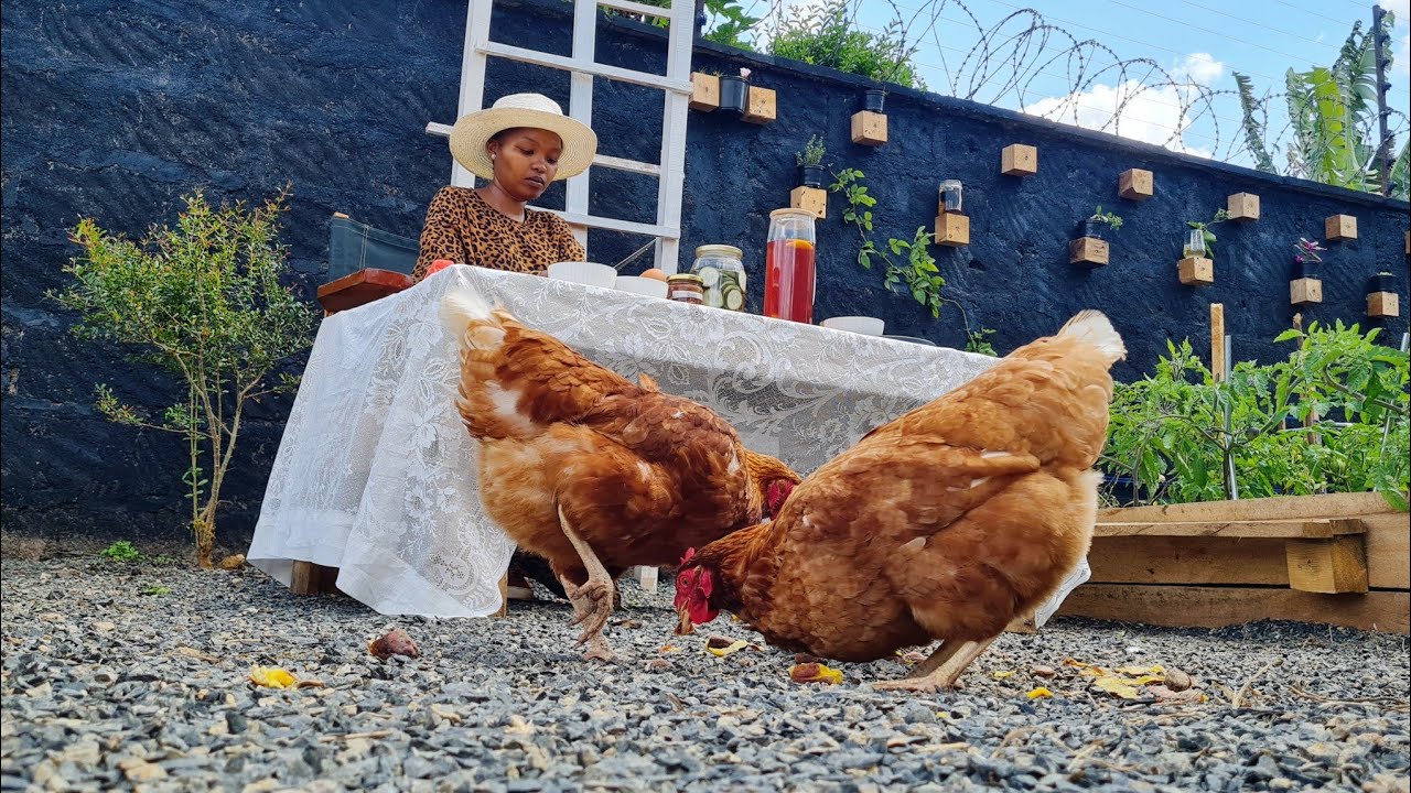 Жизнь за счёт земли в 30 лет | Почему мы отказываемся от работы с 9 до 5 ради более простой жизни