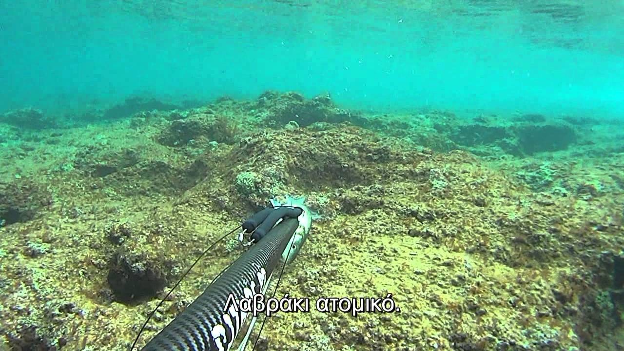 ΨΑΡΟΝΤΟΥΦΕΚΟ ΚΑΡΤΕΡΙ ΡΗΧΑ ΜΕ ΠΕΝΤΑΙΝΑ